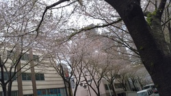 IMG_20160409_140158.jpg