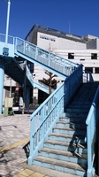 IMG_20170211_120449.jpg